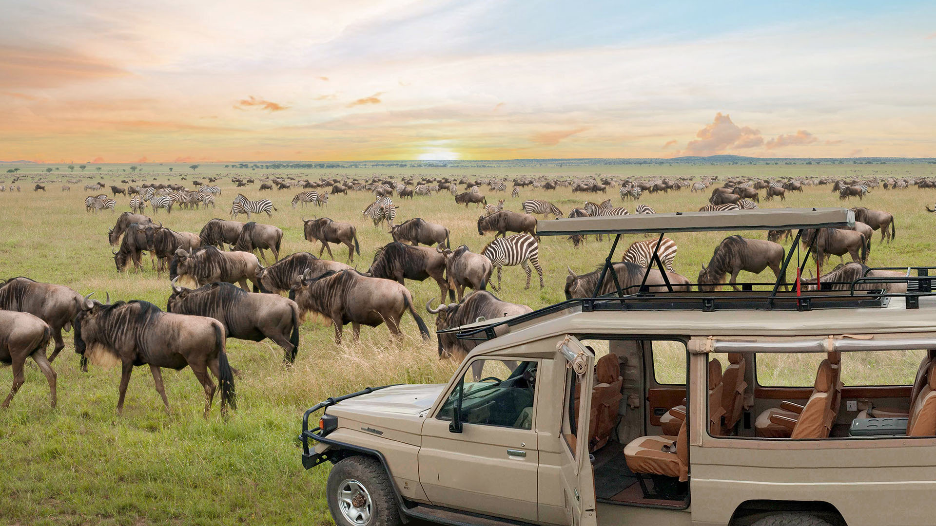 Tanzania 7 days Mid-Range safari